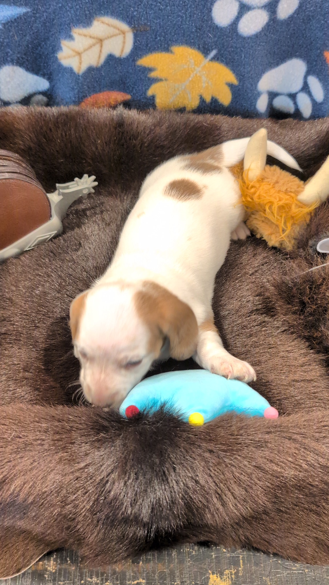Boy #1 photo 1
