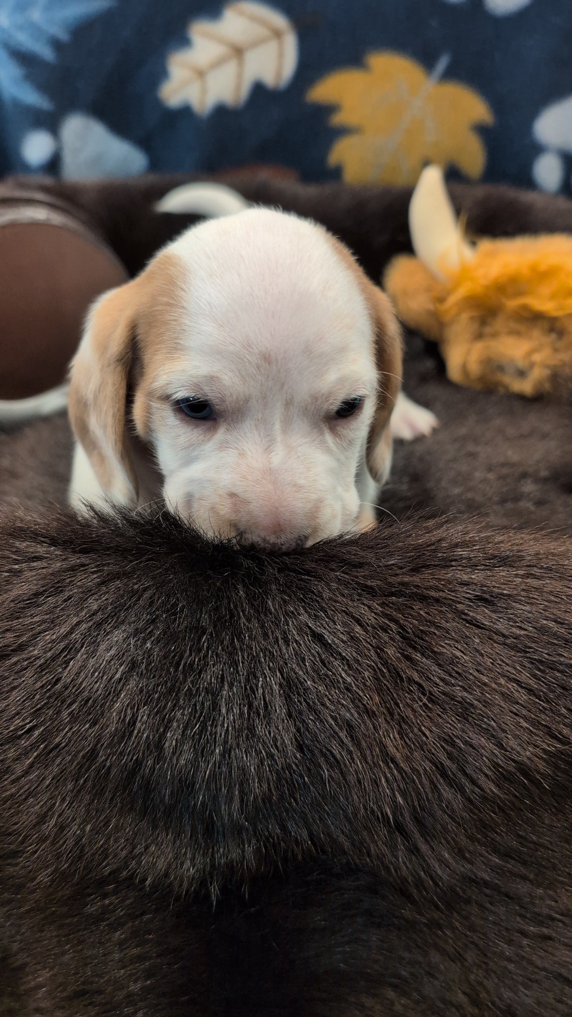 Boy #1 photo 3