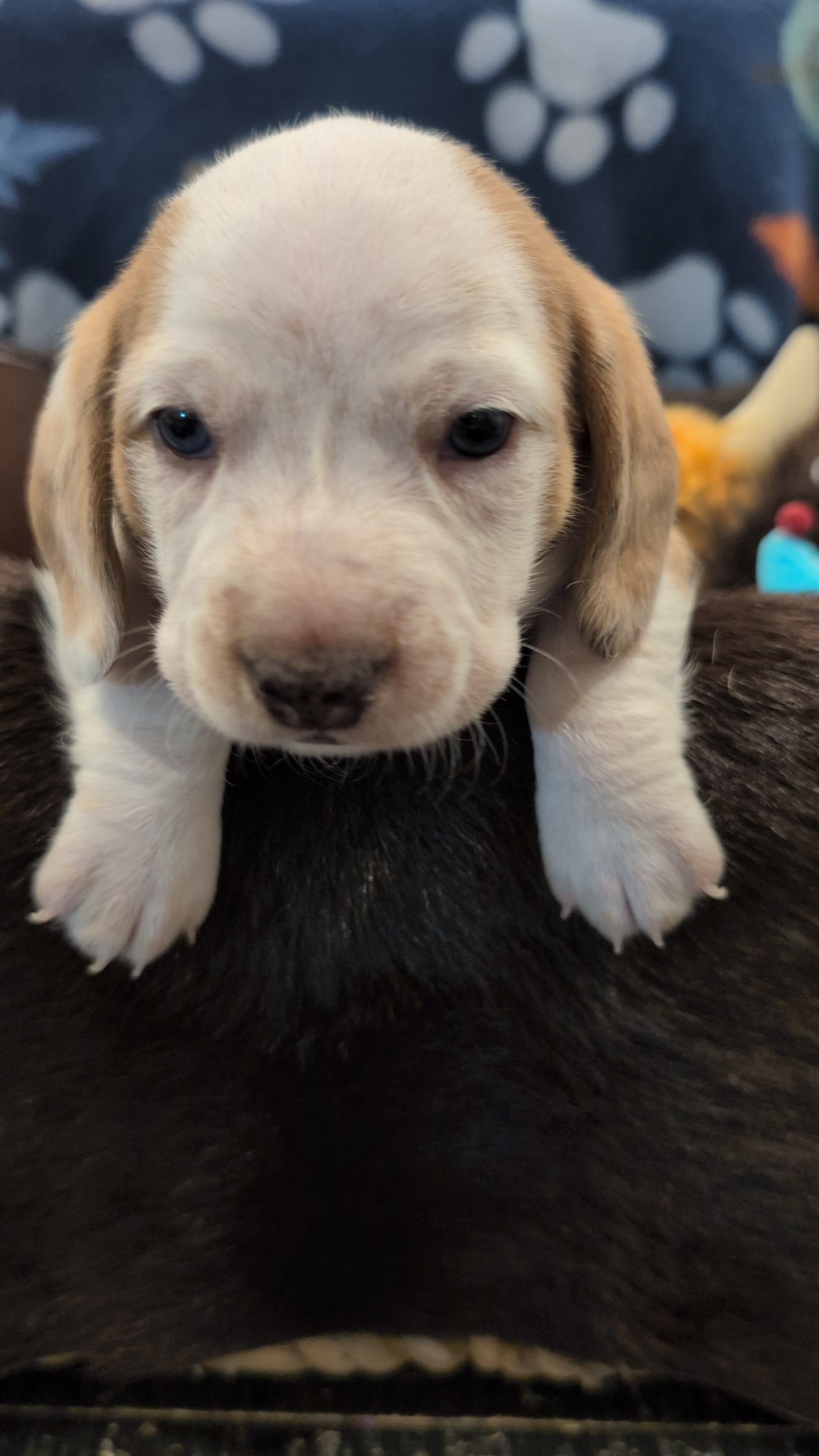 Boy #1
