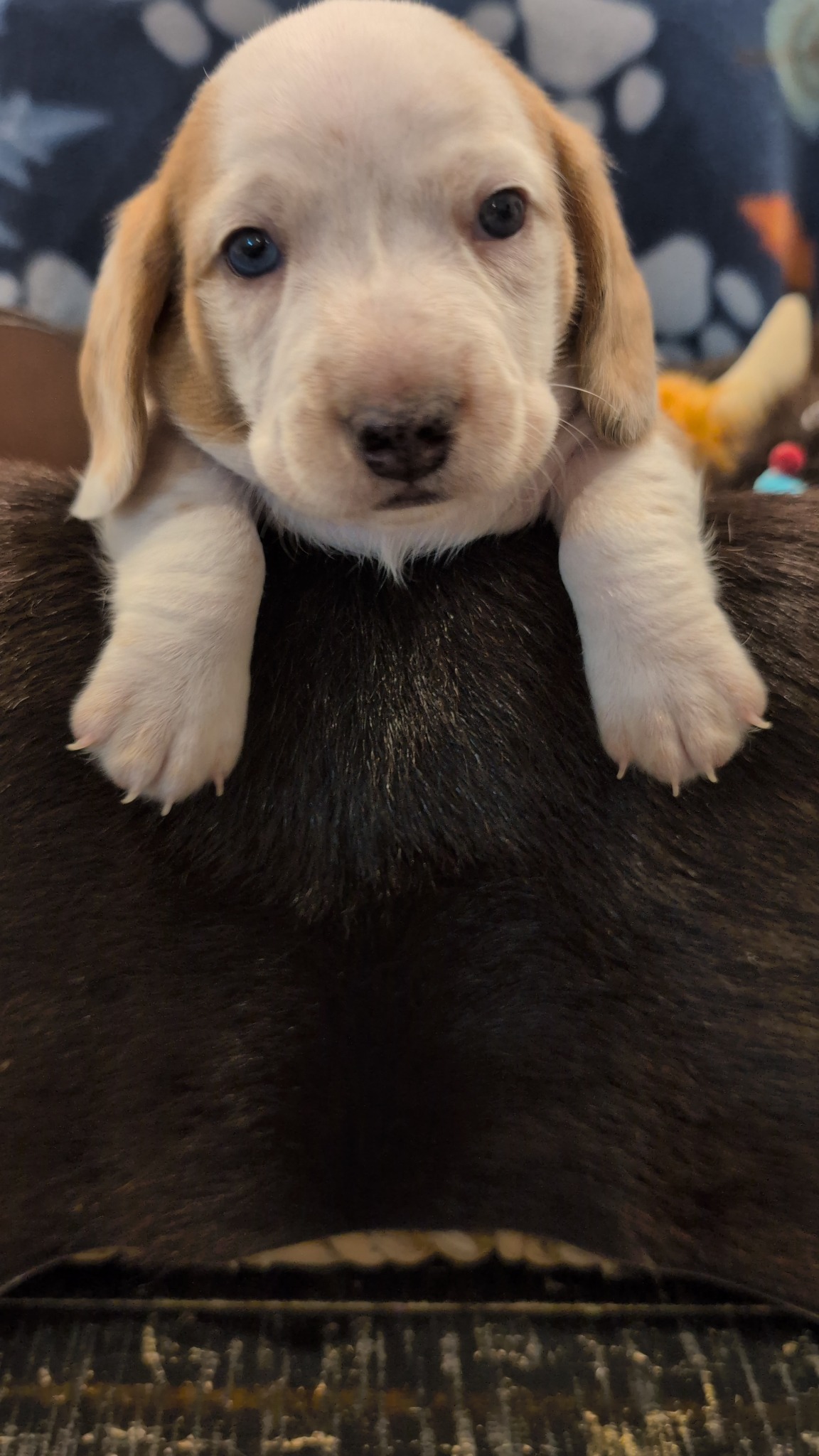Boy #1 photo 5