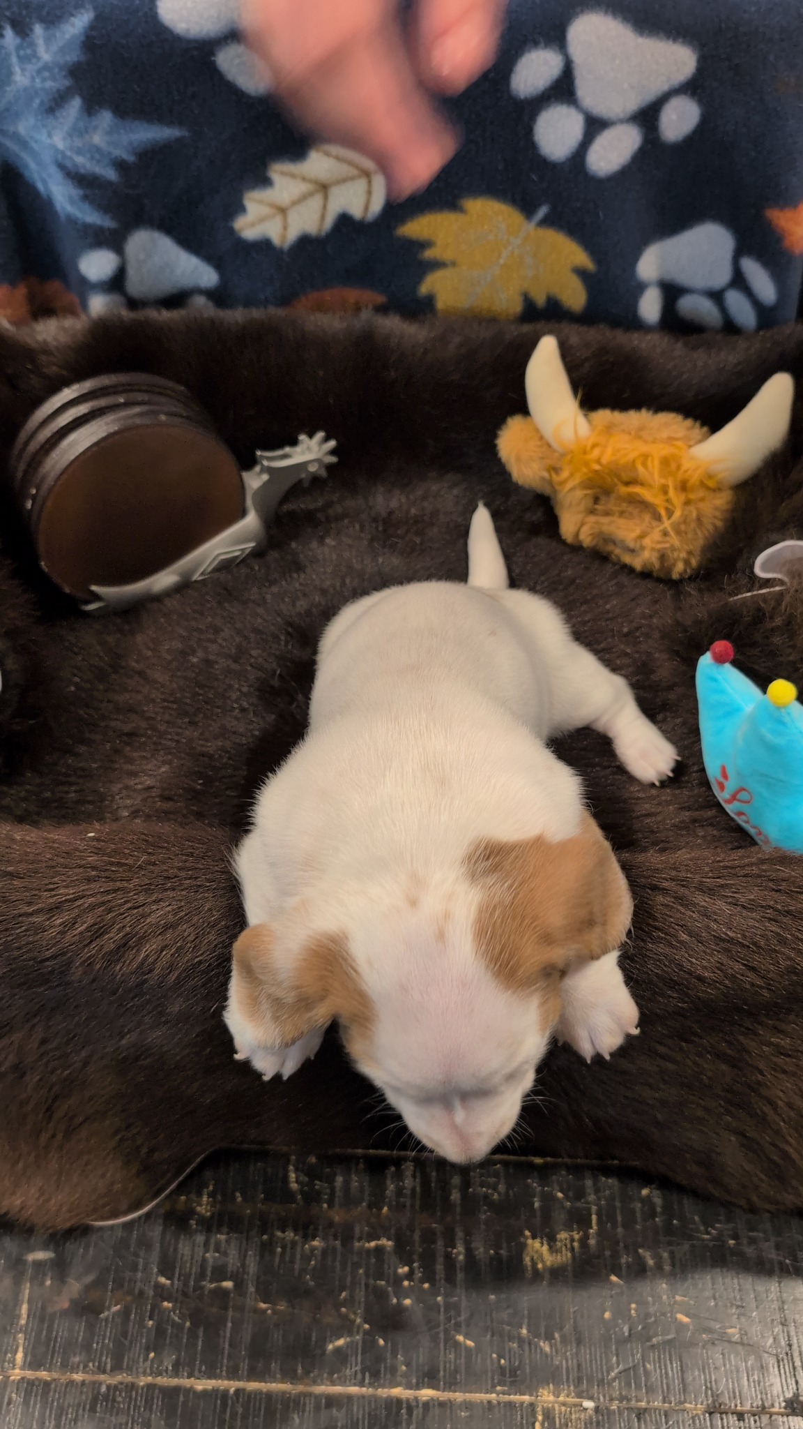 Boy #1 photo 6