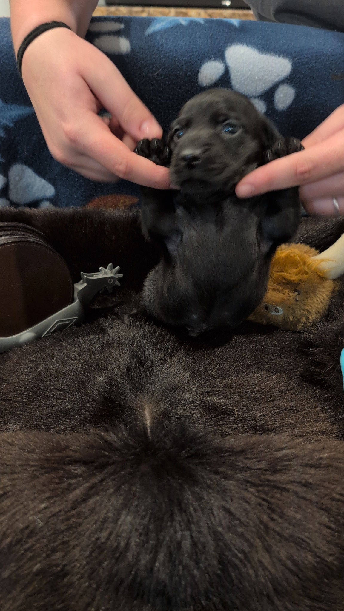 Boy #2 photo 1