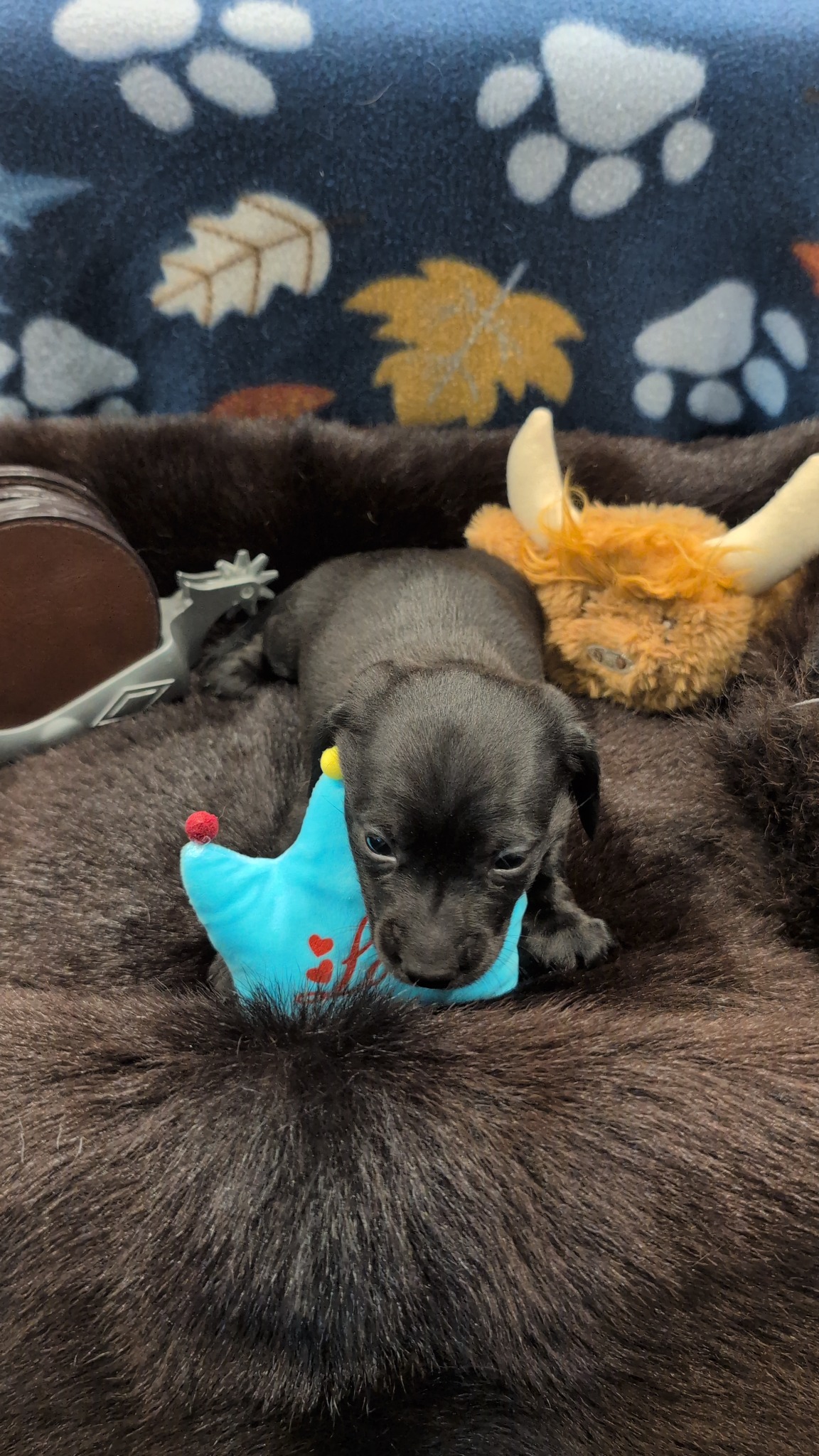 Boy #2 photo 3