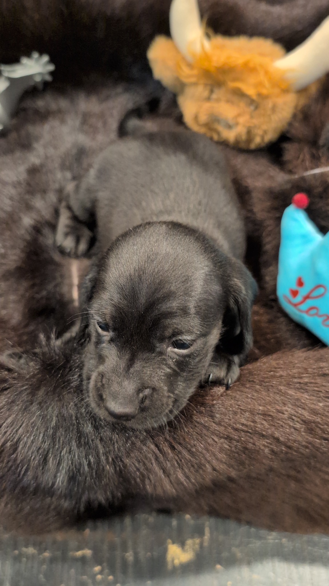 Boy #2 photo 4