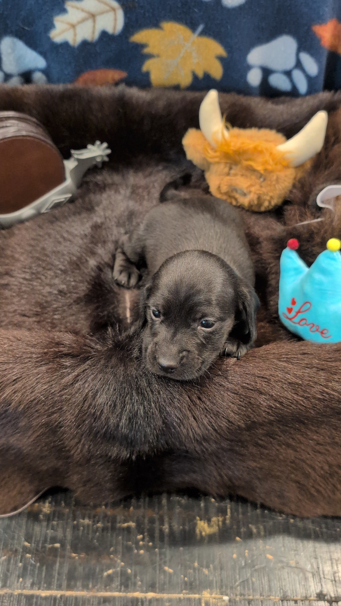 Boy #2 photo 5