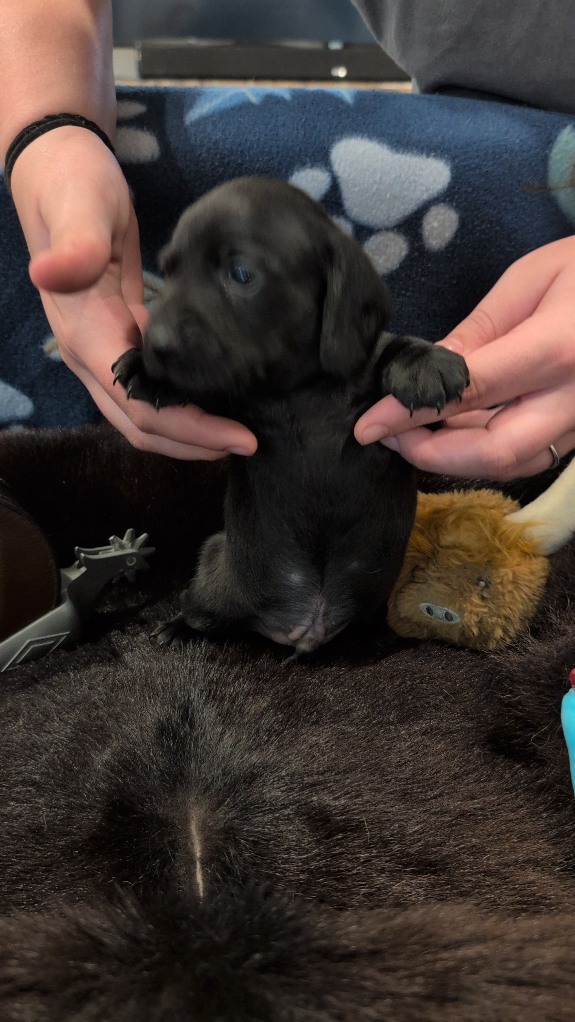 Boy #2 photo 6