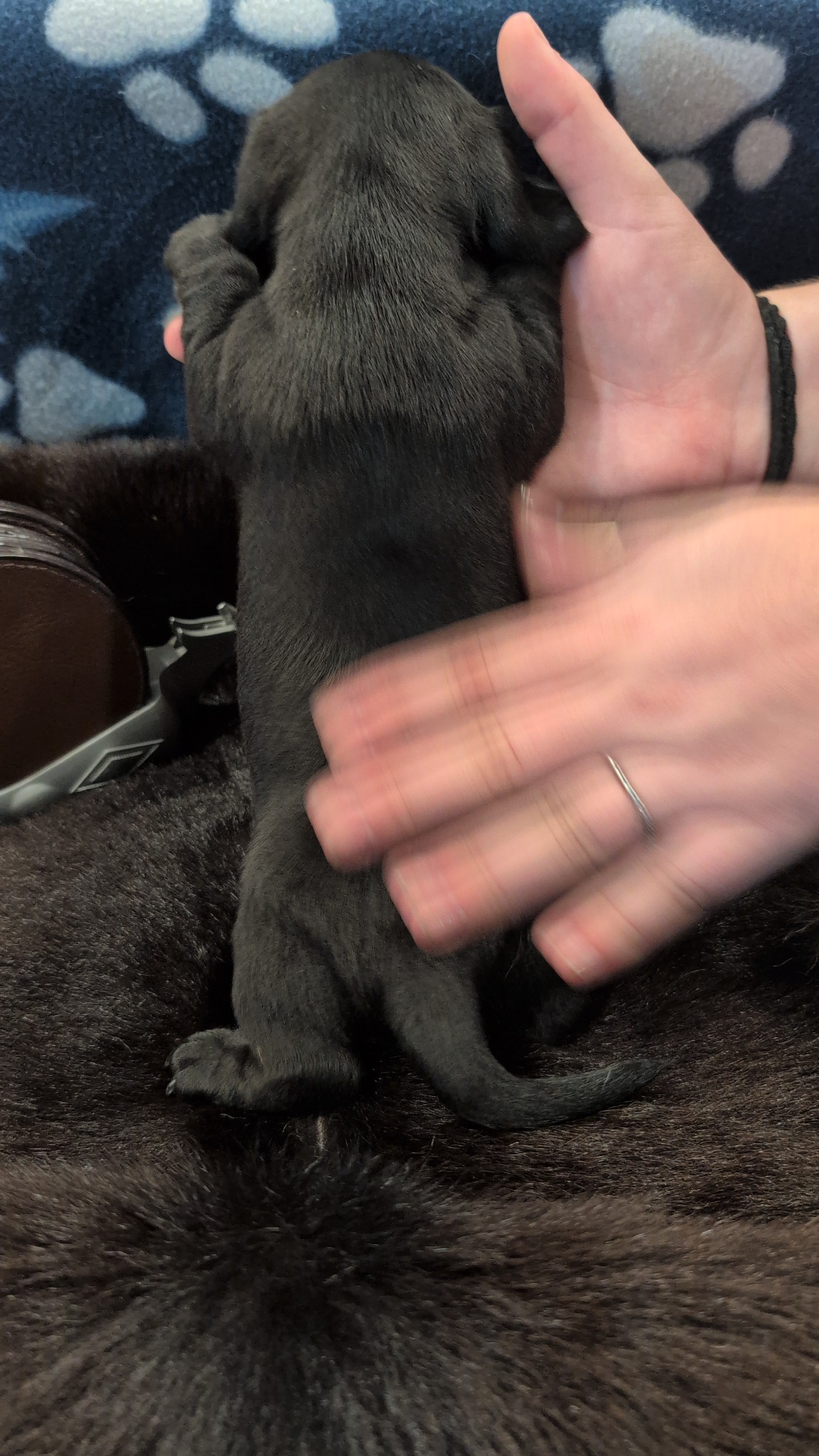 Boy #2 photo 7