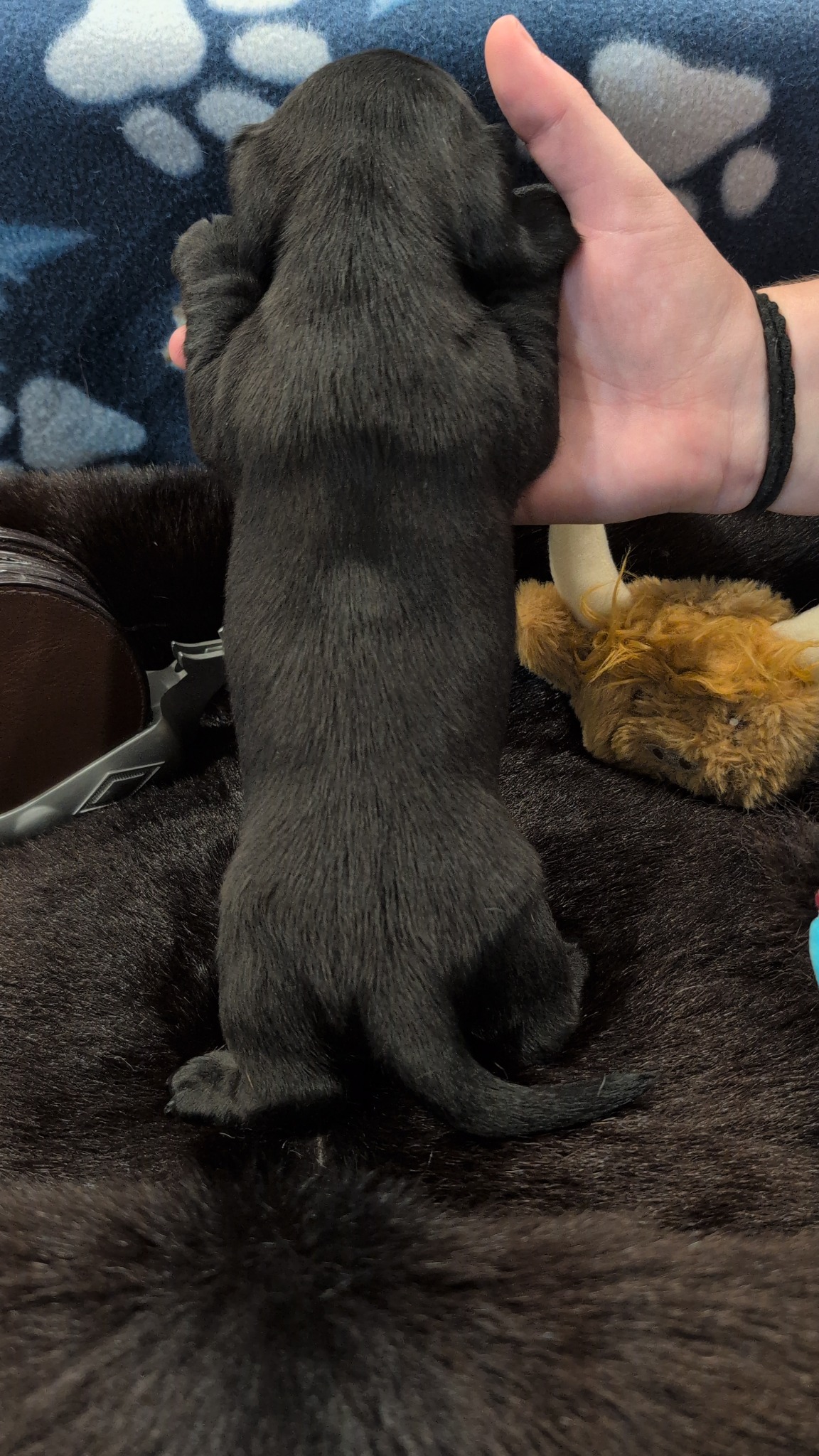 Boy #2 photo 8