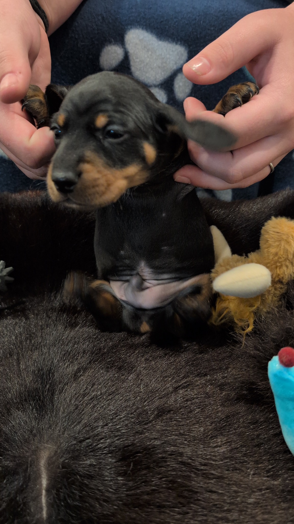 Boy #3 photo 1