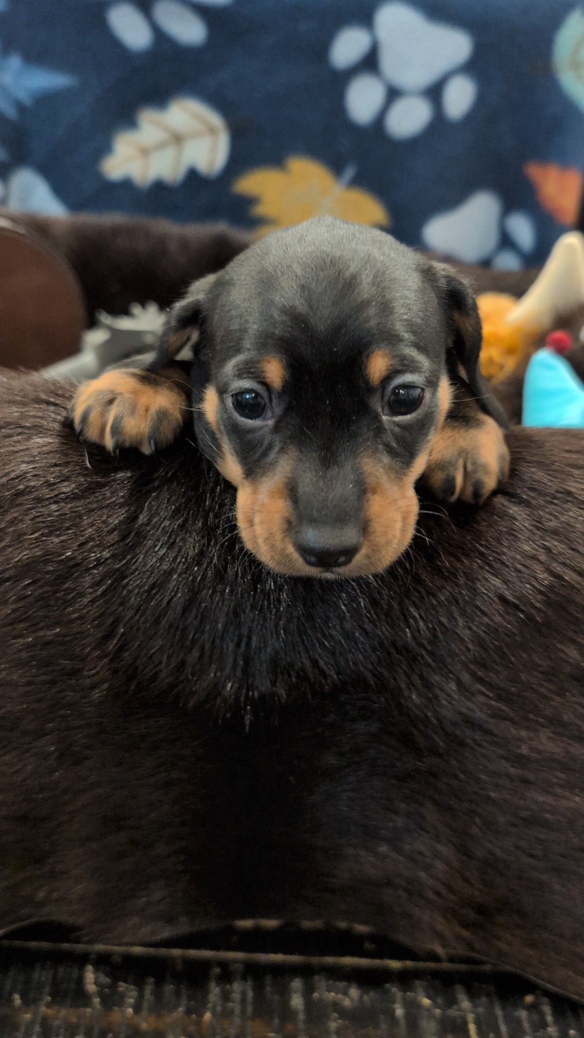 Boy #3