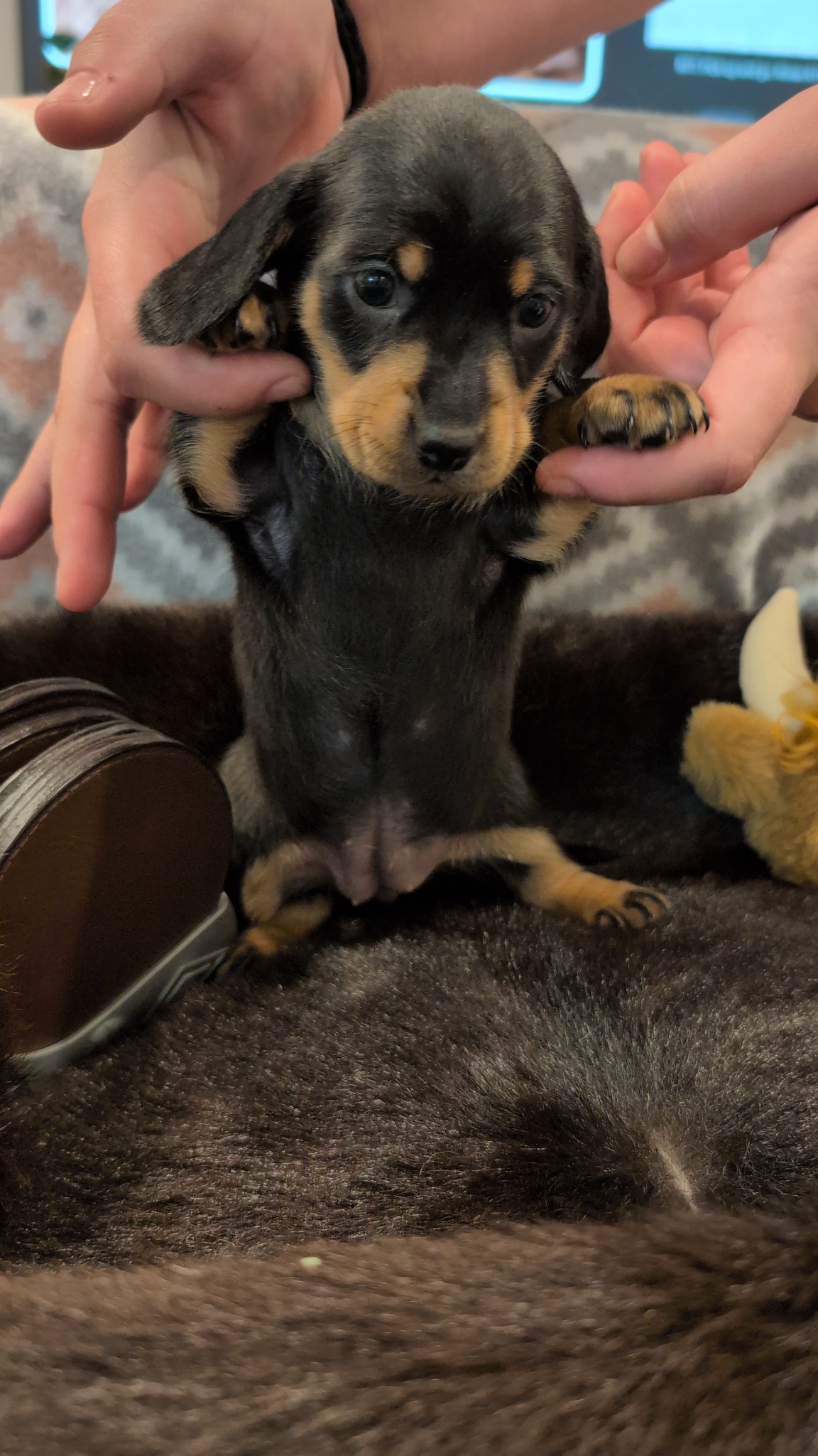 Girl #2